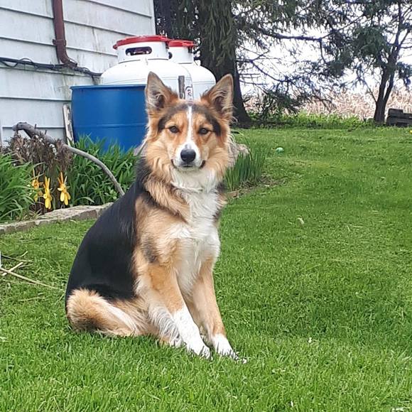 Meet your Posher, Jason - Picture 1 of 1